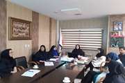 برگزاری جلسه کمیته مدیریت اجرایی در بیمارستان جامع بانوان آرش